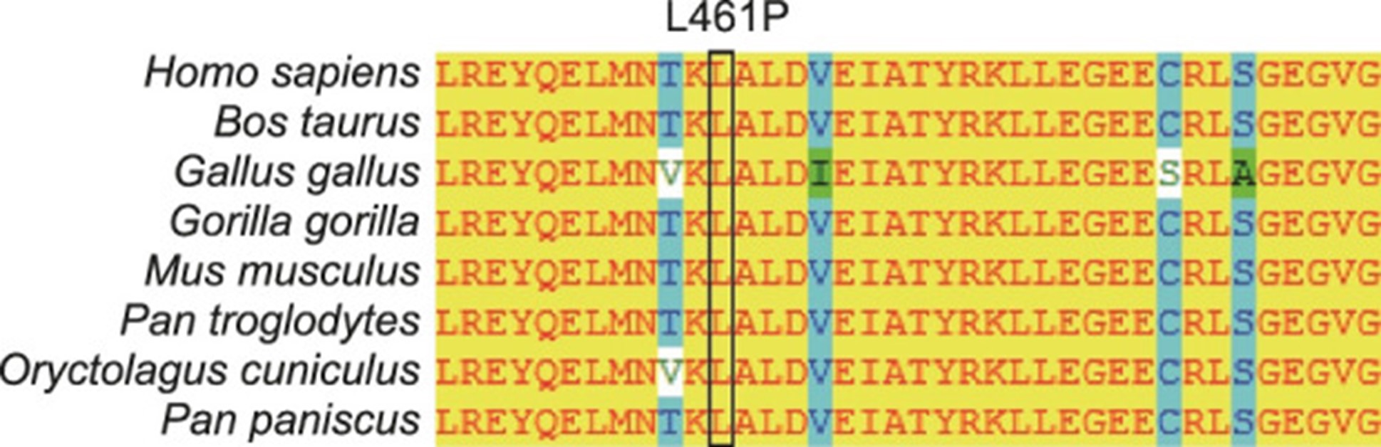 【佳学基因检测】单纯性大疱性表皮松解症基因检测Epidermolysis bullosa simplex